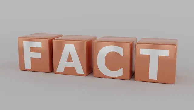 Fun Facts About Team Name