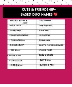 Cute and friendship based Duo names