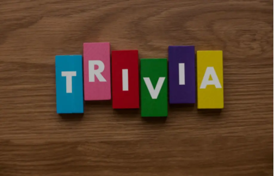 best Trivia Team Names