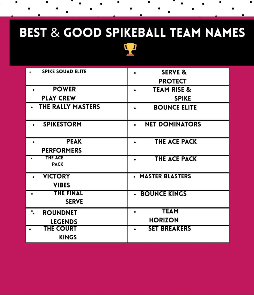 Best and good Spikeball team names that represent teamwork, competition, and a winning attitude.