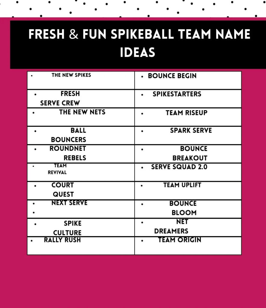 Fresh and fun Spikeball team name ideas that capture excitement, creativity, and team spirit for all players.