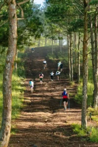 A group of coworkers walking outdoors during a corporate step challenge, smiling and tracking steps to promote teamwork and wellness.