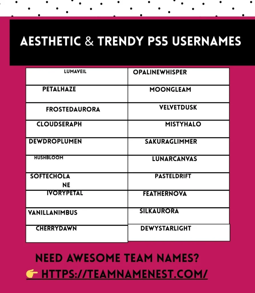 Aesthetic and trendy PS5 usernames for stylish PlayStation gamers.